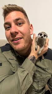 Segítsetek kérlek nevet választani kommentbe! #wildlife #mik #animals  #meerkats