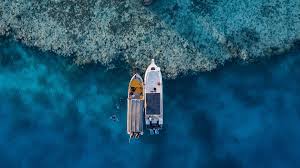 حجز موعد عن طريق الاون لاين. K9l3nwpdryybam