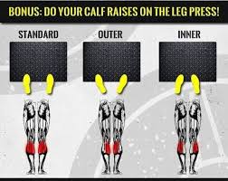 It works with the soleus to carry out ankle plantarflexion. Inner Calf Muscle Workout Workoutwalls