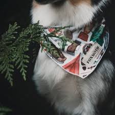 Request pet supply wholesale stock. Wholesale Pet Supplies Distributors Online Shopping Mall Find The Best Prices And Places To Buy