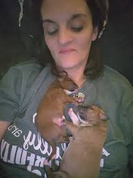 Looking to find out how much your 5 month old Staff's weigh?