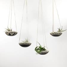 12 Elegant Ways To Bring Air Plants Into Your Home Air Plants Decor Hanging Air Plants Air Plants