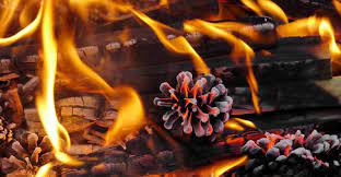 Many recipes or instructions include a dipped wax method but this is the easiest preparation method i've found. How To Make Pine Cone Fire Starters My Garden Life