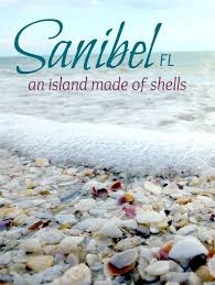 Sanibel Island Fl The World S Best Shelling Beaches Beach Bliss Living Sanibel Island Sanibel Island Florida Sanibel Island Beaches Timing is everything for finding the best shells. sanibel island florida