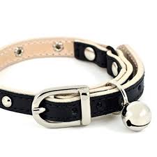 Our designer cat collars are for cats that won't be phased when they become the envy of all the other cats in the neighbourhood. Designer Studded Leather Cat Collars Hand Made In The Uk Leather Cat Collars Dog Accessories Designer Dog Collars