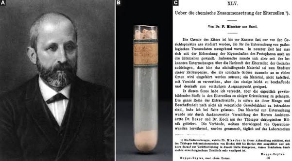 Los secretos de la cocina del Castillo de Tübingen: Friedrich Miescher y el descubrimiento de la nucleína, piedra angular del ADN