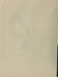 Image result for Triainolepis sancta