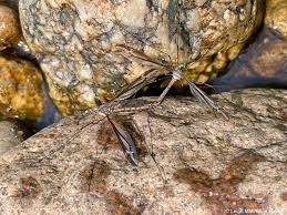 Craning for the Fliers | wondermyway