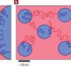 Block copolymers in tomorrow's plastics | Nature Materials