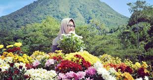 Tetapi salah satu ikon wisata batu ini juga memiliki taman bunga yang tertata apik. Batu Flower Garden Malang Htm Rute Jam Buka Terbaru Update Pengetahuanmu