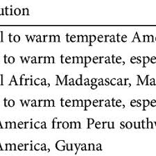 Image result for Viridivia suberosa