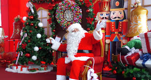 Así luce el símbolo de la Navidad | Foto: RPP   