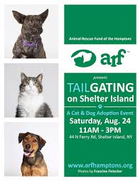 Learn more about pet rescue in harrison, ny, and search the available pets they have up for pet rescue's mission is to aid homeless, abandoned and neglected cats and dogs, to nurture them in the. Tailgating At Shelter Island Pet Day Animal Rescue Fund Of The Hamptons