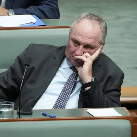Barnaby Joyce joins One Nation weeks after leaving Nationals - ABC listen