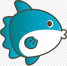 I took this picture then released it. Turquoise Fish Fish Png Download 3000 2915 Free Transparent Baby Sunfish Png Download Cleanpng Kisspng