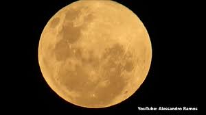 Uma das fases da lua, quando a sua totalidade é refletida na terra é chamada de lua cheia. Primeira Lua Cheia Em 2020 Eclipse Penumbral Youtube