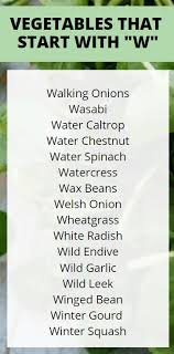 The big celebrity heights database. 15 Vegetables That Start With W 2021 Edition