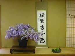 Top keywords % of search traffic. Rosade Bonsai Studio Bonsai Home Decor Decals Decor