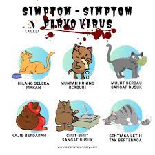 We did not find results for: Simptom Simptom Kucing Diserang Emelia Veterinary Clinic Facebook