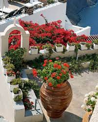 Check spelling or type a new query. 34 Greek Gardens Ideas Greek Garden Greek Mediterranean Garden