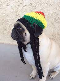 Rasta Hatslouch Beanie By Pugsngiggles On Etsy 17 50 Eeeermaaahgeeerd Smokey Says This Is A Must Have D Pug Love Pugs Pug Dog