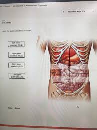 The human abdomen is apportioned into quadrants to examine, diagnose, and treat. Ork Chapter 1 Introduction To Anatomy And Chegg Com