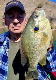 Lake Havasu Redear Fish Discussion