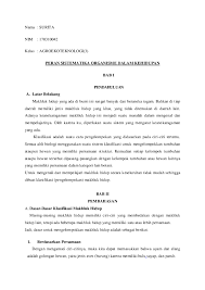 Kegiatan ekonomi hanya mengandalkan sektor pertanian (agraris). Doc Sistem Klasifikasi Makhluk Hidup Nurul 1 Oji Dataqu Academia Edu