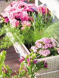 Balkon Dekorieren Im Shabby Chic Stil Sorgen Sie Fur Mehr Romantik In Ihrem Alltag Landschaftsbau Pflanzideen Pflanzen