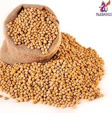 Image result for Brazzeia soyauxii