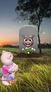 Image result for tbn:ANd9GcTlTlPf9PNmQvKmium1QUaRWcbtEluL4FpwUg9DS5G6k-iGqDYkVWgDJt8