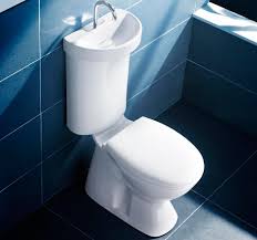 caroma profile smart 305 dual flush