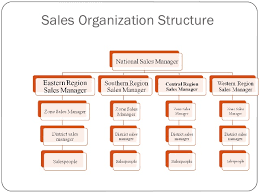 organisational structure of pizza hut sample coursework