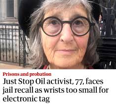 Whose fault is the judge's order for British to wear an ankle monitor?