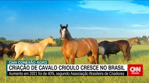 Cria&ccedil;&atilde;o de cavalo crioulo cresce no Brasil | Facebook