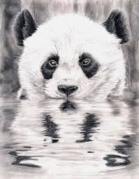 Animals Drawing Favourites By Jdmanny On Deviantart Panda Art Panda Sketch Panda Tattoo