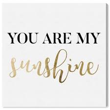 It came as a shock to find out that some people prefer sunshine. Oliver Gal You Are My Sunshine Gold Typography And Quotes Wall Art Canvas Print Love Quotes And Sayings Gold White Overstock 32479023