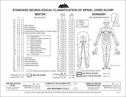 wheeless textbook of orthopaedics