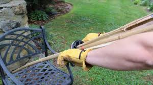 Bamboo is a type of grass that adds an asian vibe to any garden. How To Split Bamboo Youtube