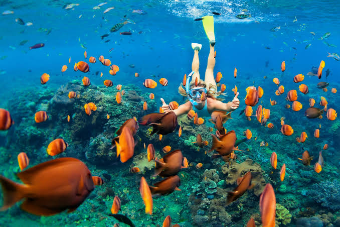 Maldives Family Island Discovery — photo 3