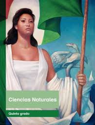 Puedes revisar las respuestas correctas! Calameo Primaria Quinto Grado Ciencias Naturales Libro De Texto