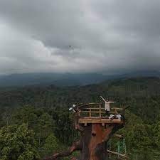 Harga tiket masuk gunung bromo tersebut, mulai aktif per juni 2019. Harga Tiket Masuk Gunung Klotok Harga Tiket Dan Rute Lokasi Kebun Bunga Matahari Kediri Destinasi Hits Yang Wajib Dikunjungi Harga Tersebut Belum Termasuk Biaya Parkir Kendaraan Communi8