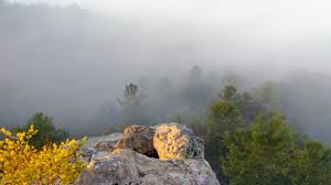 Red river gorge guides has exclusive access to the privately owned torrent. Q7kkibt1hz91wm