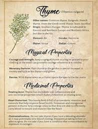 Pin By Jessa On Herbs In 2020 Wicca Herbs Wicca For Beginners Book Of Shadows