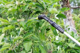 Schädlinge kommen nicht in jedem garten gleichermaßen vor. Apfelbaum Schadlinge Bekampfen 10 Schadlinge Mittel Zur Bekampfung Vorgestellt