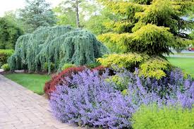 Globe thistle plants (echinops spp.) bring blue spiky spheres to the sunny summer border. Landscape Design Principles A Guide To Landscape Design Maintenance
