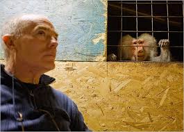 We did not find results for: Sharing Your Home With A Primate Or If A Cat Just Isn T Enough The New York Times