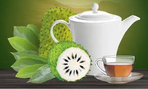 Air rebusan daun sirsak atau teh daun sirsak kalau diminum bisa menghilangkan rasa pegal teh daun sirsak juga bermanfaat sebagai pereda nyeri pada tubuh. Teh Daun Durian Belanda Photos Facebook