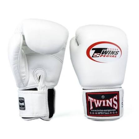 Twins Boxing Gloves BG-N Long Velcro