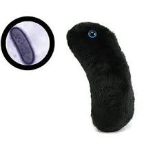 Giant Plush Microbes Plush Microbes Giant Plush Diy Stuffed Animals